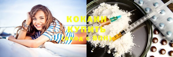 кокс Инсар