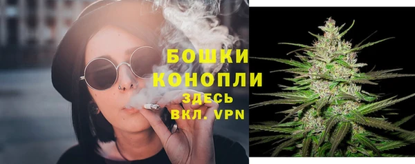 не бодяженный Иннополис