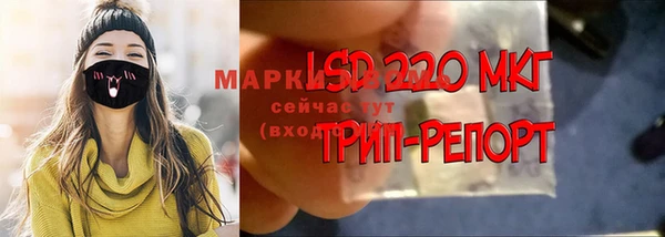 кокс Инсар