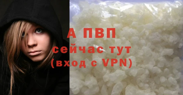 не бодяженный Иннополис
