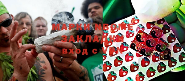 прущие грибы Зеленокумск
