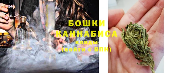 стаф Зерноград