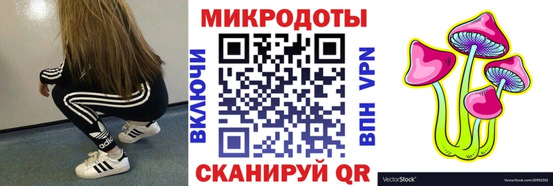 Галлюциногенные грибы Psilocybe  купить наркотик  Киржач 