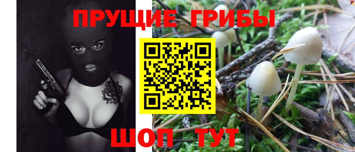 Псилоцибиновые грибы Psilocybine cubensis  цена наркотик  Псилоцибиновые грибы Psilocybine cubensis  Киржач  Вход с VPN 