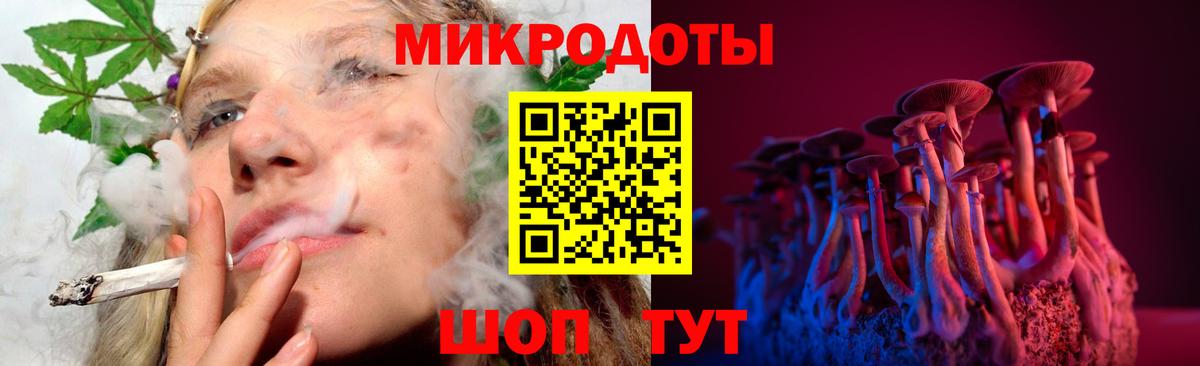 Галлюциногенные грибы Psilocybe Киржач